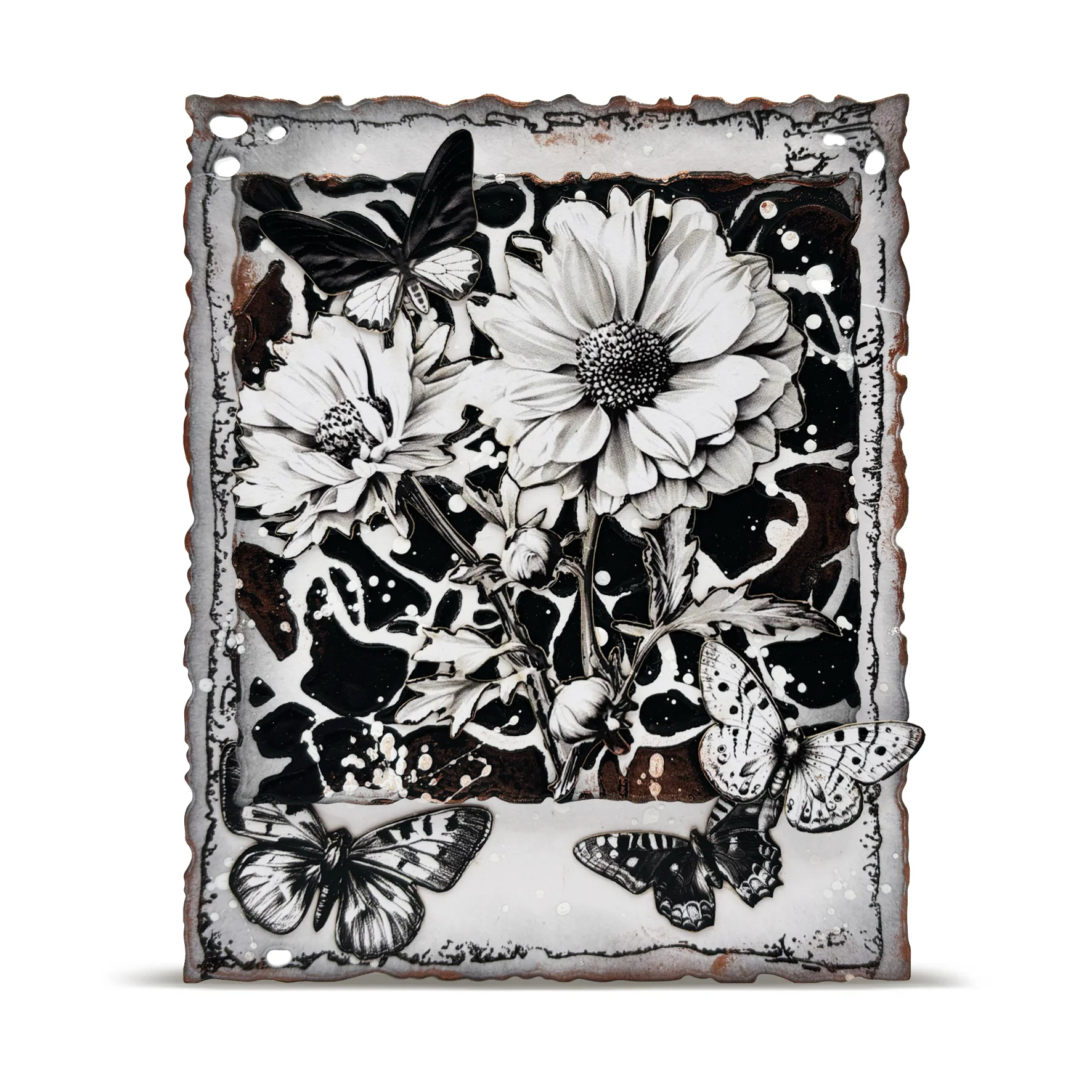 Product image 65